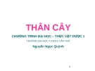 Thân cây - ĐH Cần Thơ