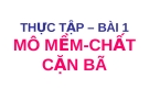 the1bbb1c-te1baadp-e28093-bai-1-me-mem-chat-can-ba