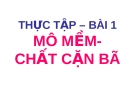 Mô mềm chất cặn bã