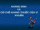 KHÁNG SINH VÀ CƠ CHẾ KHÁNG THUỐC CỦA VI KHUẨN