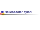 Bài giảng: Helicobacter pylori