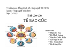 Bài báo cáo - Tế bào gốc