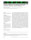 Báo cáo khoa học: Structural insight into the evolutionary and pharmacologic homology of glutamate carboxypeptidases II and III