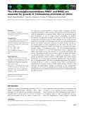 Báo cáo khoa học: The b-N-acetylglucosaminidases NAG1 and NAG2 are essential for growth of Trichoderma atroviride on chitin