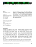 Báo cáo khoa học: Fast ferrous heme–NO oxidation in nitric oxide synthases