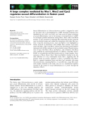 Báo cáo khoa học: A large complex mediated by Moc1, Moc2 and Cpc2 regulates sexual differentiation in ﬁssion yeast