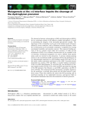 Báo cáo khoa học: Mutagenesis at the a–b interface impairs the cleavage of the dystroglycan precursor