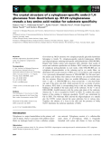 Báo cáo khoa học: The crystal structure of a xyloglucan-speciﬁc endo-b-1,4glucanase from Geotrichum sp. M128 xyloglucanase reveals a key amino acid residue for substrate speciﬁcity