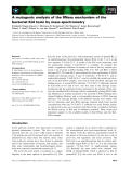 Báo cáo khoa học: A mutagenic analysis of the RNase mechanism of the bacterial Kid toxin by mass spectrometry