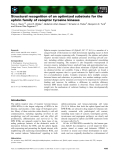 Báo cáo khoa học: Structural recognition of an optimized substrate for the ephrin family of receptor tyrosine kinases