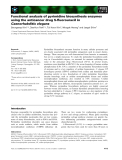 Báo cáo khoa học: Functional analysis of pyrimidine biosynthesis enzymes using the anticancer drug 5-ﬂuorouracil in Caenorhabditis elegans