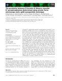 Báo cáo khoa học: The proximity between C-termini of dimeric vacuolar H+-pyrophosphatase determined using atomic force microscopy and a gold nanoparticle technique