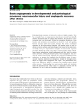 Báo cáo khoa học: Brain angiogenesis in developmental and pathological processes: neurovascular injury and angiogenic recovery after stroke