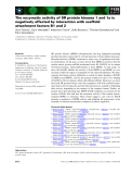 Báo cáo khoa học: The enzymatic activity of SR protein kinases 1 and 1a is negatively affected by interaction with scaffold attachment factors B1 and 2