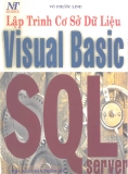 Ngôn ngữ lập trình cơ sở dữ liệu Visual Basic SQL Server