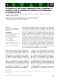 Báo cáo khoa học: Proteolysis of the tumour suppressor hDlg in response to osmotic stress is mediated by caspases and independent of phosphorylation