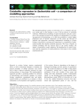 Báo cáo khoa học: Catabolite repression in Escherichia coli – a comparison of modelling approaches
