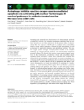 Báo cáo khoa học: Autophagy inhibits reactive oxygen species-mediated apoptosis via activating p38-nuclear factor-kappa B survival pathways in oridonin-treated murine ﬁbrosarcoma L929 cells