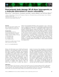 Báo cáo khoa học: Post-ischemic brain damage: NF-jB dimer heterogeneity as a molecular determinant of neuron vulnerability