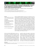 Báo cáo khoa học: The role of evolutionarily conserved hydrophobic contacts in the quaternary structure stability of Escherichia coli serine hydroxymethyltransferase