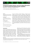 Báo cáo khoa học: Functional interplay between viral and cellular SR proteins in control of post-transcriptional gene regulation