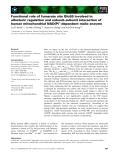 Báo cáo khoa học: Functional role of fumarate site Glu59 involved in allosteric regulation and subunit–subunit interaction of human mitochondrial NAD(P)+-dependent malic enzyme