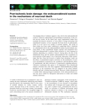 Báo cáo khoa học: Post-ischemic brain damage: the endocannabinoid system in the mechanisms of neuronal death