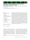 Báo cáo khoa học: Expression of Helicobacter pylori CagA domains by library-based construct screening