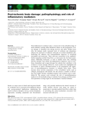 Báo cáo khoa học:  Post-ischemic brain damage: pathophysiology and role of inﬂammatory mediators