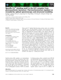 Báo cáo khoa học: Speciﬁc Ca2+-binding motif in the LH1 complex from photosynthetic bacterium Thermochromatium tepidum as revealed by optical spectroscopy and structural modeling