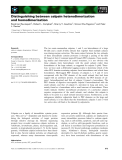 Báo cáo khoa học: Distinguishing between calpain heterodimerization and homodimerization