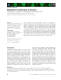 Báo cáo khoa học: Glutathione transferases in bacteria