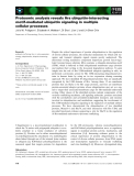 Báo cáo khoa học: Proteomic analysis reveals Hrs ubiquitin-interacting motif-mediated ubiquitin signaling in multiple cellular processes