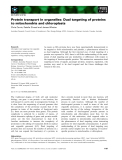 Báo cáo khoa học: Protein transport in organelles: Dual targeting of proteins to mitochondria and chloroplasts