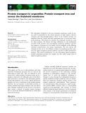 Báo cáo khoa học: Protein transport in organelles: Protein transport into and across the thylakoid membrane