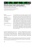 Báo cáo khoa học: Molecular characterization and gene disruption of mouse lysosomal putative serine carboxypeptidase 1