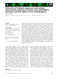 Báo cáo khoa học: Platination of telomeric sequences and nuclease hypersensitive elements of human c-myc and PDGF-A promoters and their ability to form G-quadruplexes Viktor Viglasky