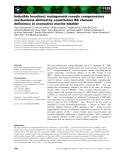 Báo cáo khoa học: Inducible knockout mutagenesis reveals compensatory mechanisms elicited by constitutive BK channel deﬁciency in overactive murine bladder