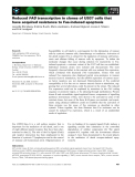 Báo cáo khoa học: Reduced FAS transcription in clones of U937 cells that have acquired resistance to Fas-induced apoptosis