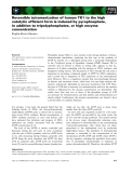 Báo cáo khoa học: Reversible tetramerization of human TK1 to the high catalytic efﬁcient form is induced by pyrophosphate, in addition to tripolyphosphates, or high enzyme concentration