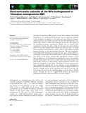 Báo cáo khoa học: Electron-transfer subunits of the NiFe hydrogenases in Thiocapsa roseopersicina BBS