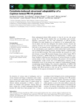 Báo cáo khoa học: Cytokinin-induced structural adaptability of a Lupinus luteus PR-10 protein