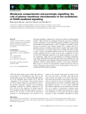 Báo cáo khoa học: Membrane compartments and purinergic signalling: the role of plasma membrane microdomains in the modulation of P2XR-mediated signalling