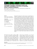 Báo cáo khoa học: Unchanged thymidine triphosphate pools and thymidine metabolism in two lines of thymidine kinase 2-mutated ﬁbroblasts