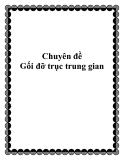 Chuyên đề: Gối đỡ trục trung gian