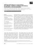 Báo cáo khoa học: ATP-dependent ligases in trypanothione biosynthesis – kinetics of catalysis and inhibition by phosphinic acid pseudopeptides