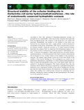 Báo cáo khoa học: Structural stability of the cofactor binding site in Escherichia coli serine hydroxymethyltransferase – the role of evolutionarily conserved hydrophobic contacts