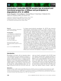 Báo cáo khoa học: Interleukin-1-inducible MCPIP protein has structural and functional properties of RNase and participates in degradation of IL-1b mRNA