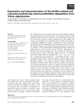 Báo cáo khoa học: Expression and characterization of the bioﬁlm-related and carnosine-hydrolyzing aminoacylhistidine dipeptidase from Vibrio alginolyticus