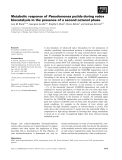 Báo cáo khoa học: Metabolic response of Pseudomonas putida during redox biocatalysis in the presence of a second octanol phase